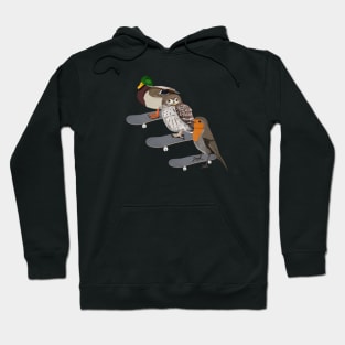 Mallard Owl Robin Bird Skateboard Birdwatcher Animal Biologist Hoodie